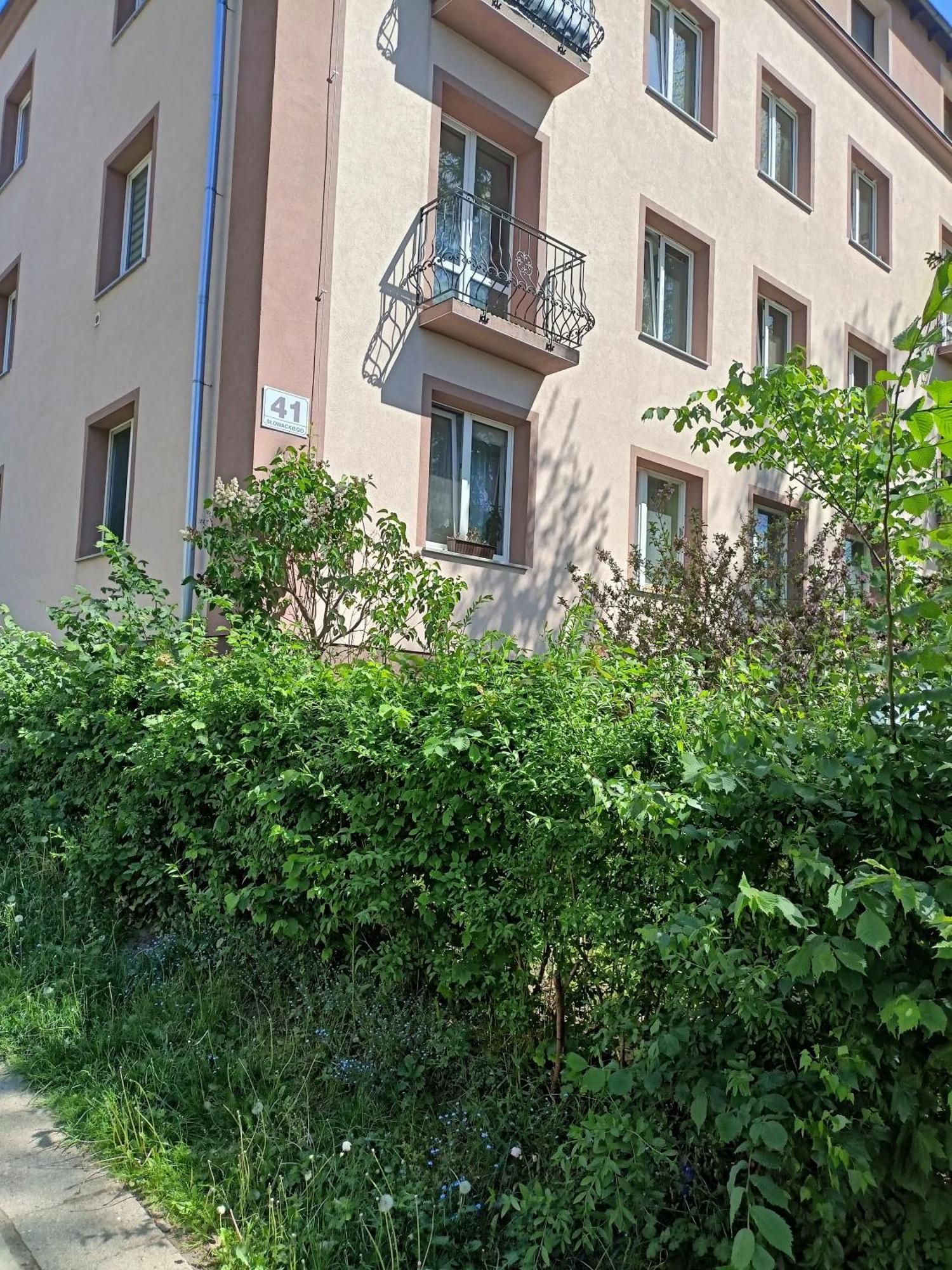 Apartament Slowackiego 41 Jelenia Gora Bagian luar foto