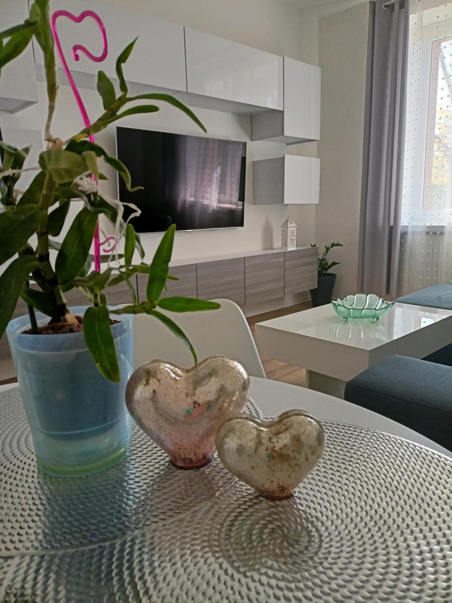 Apartament Slowackiego 41 Jelenia Gora Bagian luar foto